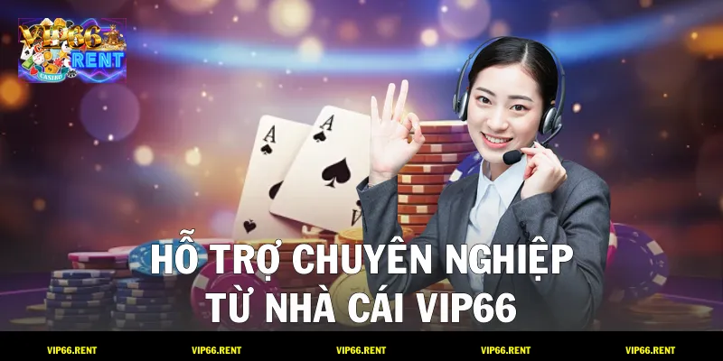 Hỗ trợ chuyên nghiệp từ nhà cái VIP66