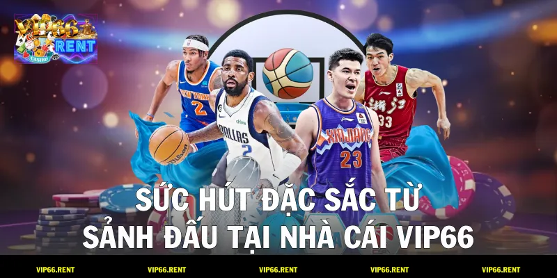 Sức hút đặc sắc từ sảnh đấu tại nhà cái VIP66